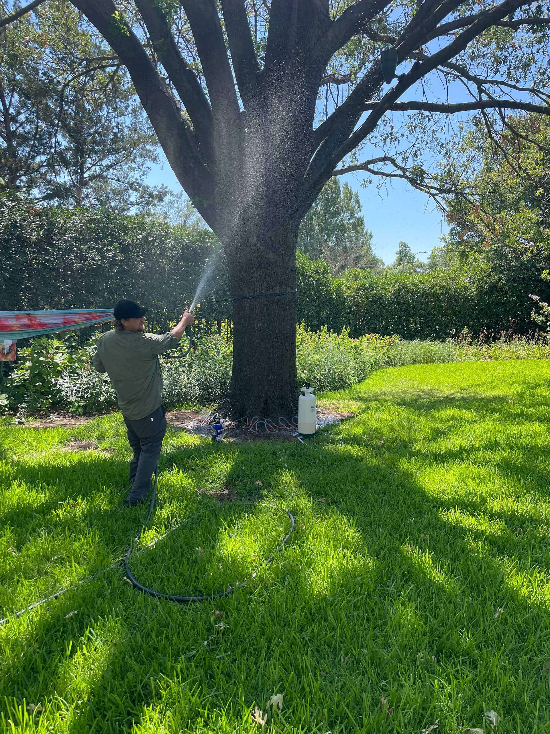 Fort Worth Arborist Co.