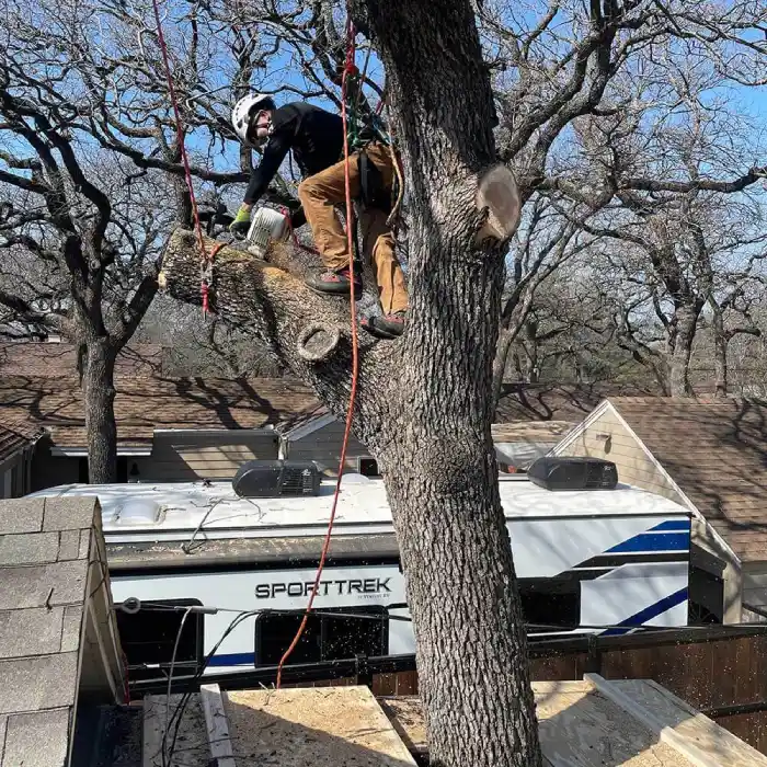 Fort Worth Arborist Co.