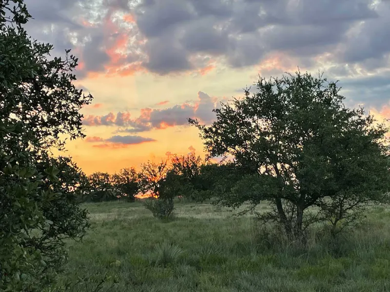 Fort Worth Arborist Co.