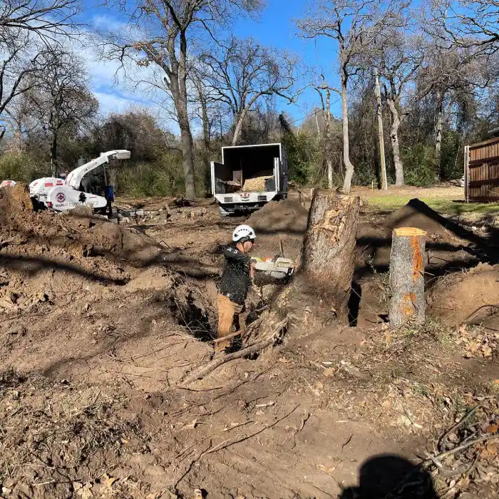 Shrub / Tree Removal