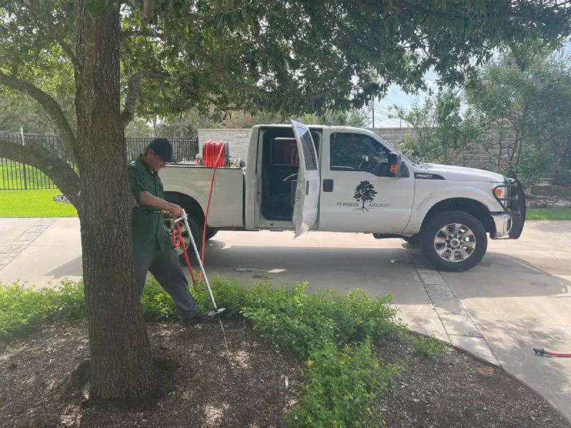 Fort Worth Arborist Co.