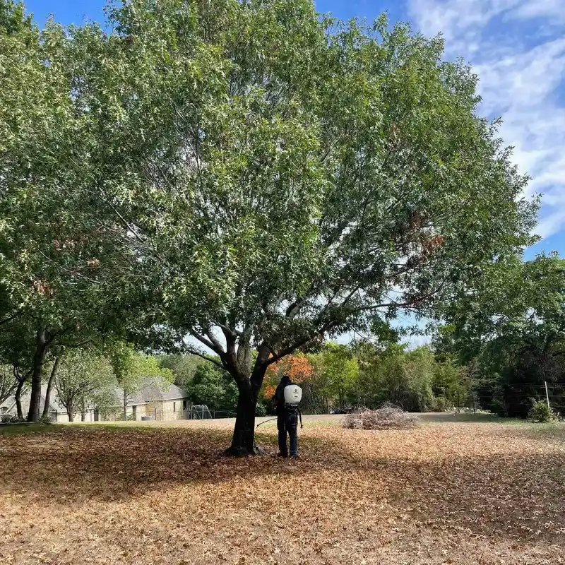 Fort Worth Arborist Co.